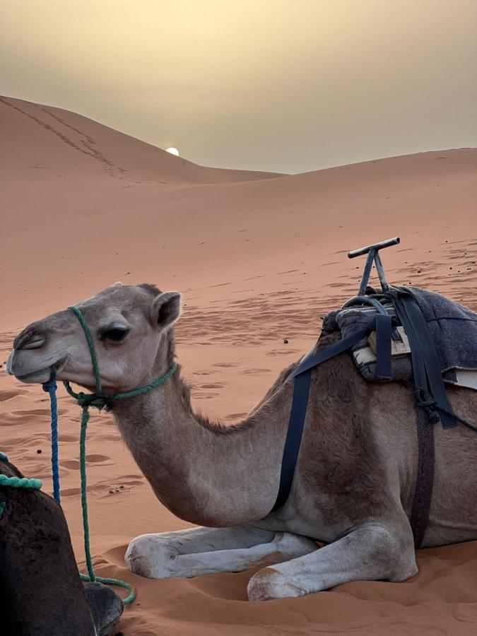 Riad Aicha & Camel Trekking Merzouga Esterno foto
