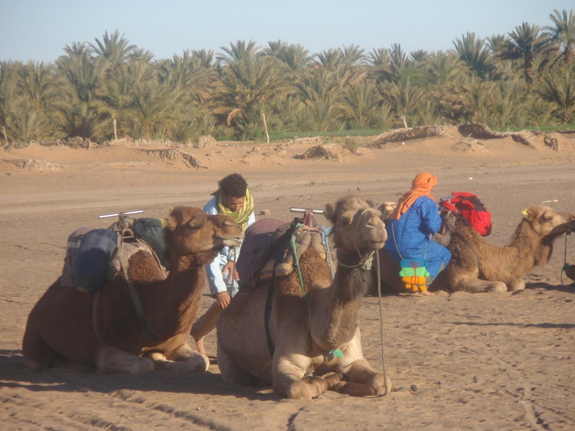 Riad Aicha & Camel Trekking Merzouga Esterno foto